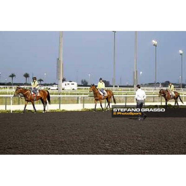 Morning track works - Marco Botti, Joshua Tree, Planteur and Jakkalberry Dubai, Meydan racecourse - 30th march 2012 ph.Stefano Grasso