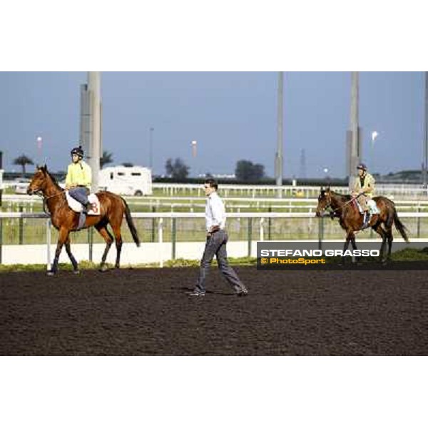 Morning track works - Marco Botti, Planteur and Jakkalberry Dubai, Meydan racecourse - 30th march 2012 ph.Stefano Grasso