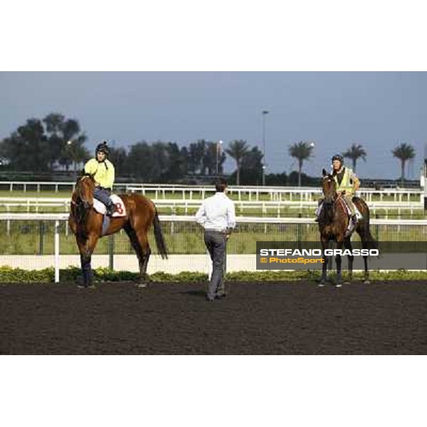 Morning track works - Marco Botti, Planteur and Jakkalberry Dubai, Meydan racecourse - 30th march 2012 ph.Stefano Grasso