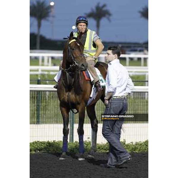 Morning track works - Marco Botti and Jakkalberry Dubai, Meydan racecourse - 30th march 2012 ph.Stefano Grasso