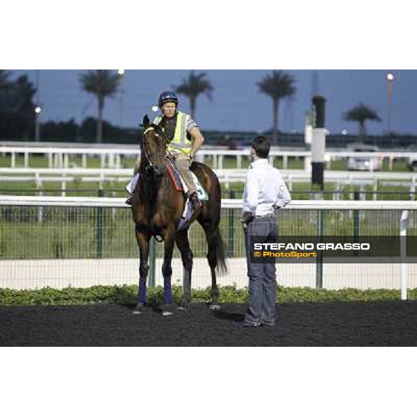 Morning track works - Marco Botti and Jakkalberry Dubai, Meydan racecourse - 30th march 2012 ph.Stefano Grasso