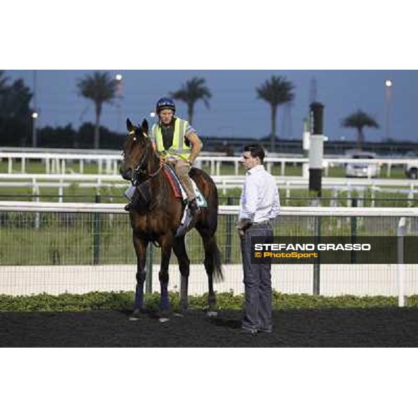 Morning track works - Marco Botti and Jakkalberry Dubai, Meydan racecourse - 30th march 2012 ph.Stefano Grasso