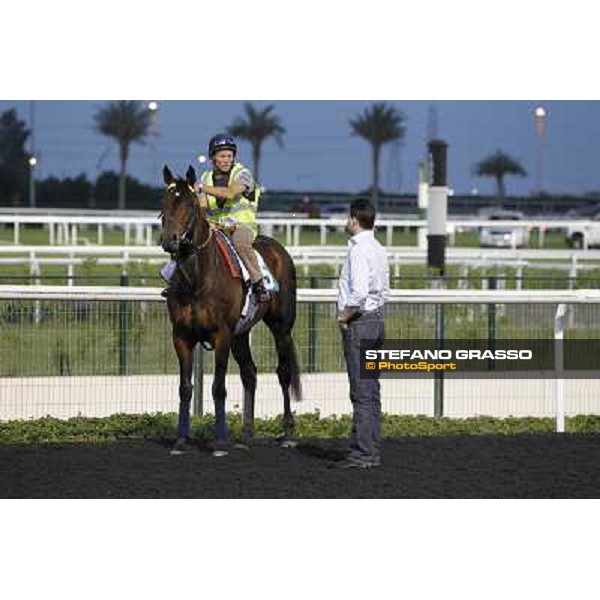 Morning track works - Marco Botti and Jakkalberry Dubai, Meydan racecourse - 30th march 2012 ph.Stefano Grasso