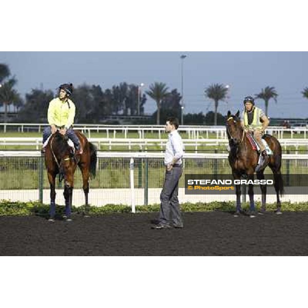 Morning track works - Marco Botti, Planteur and Jakkalberry Dubai, Meydan racecourse - 30th march 2012 ph.Stefano Grasso