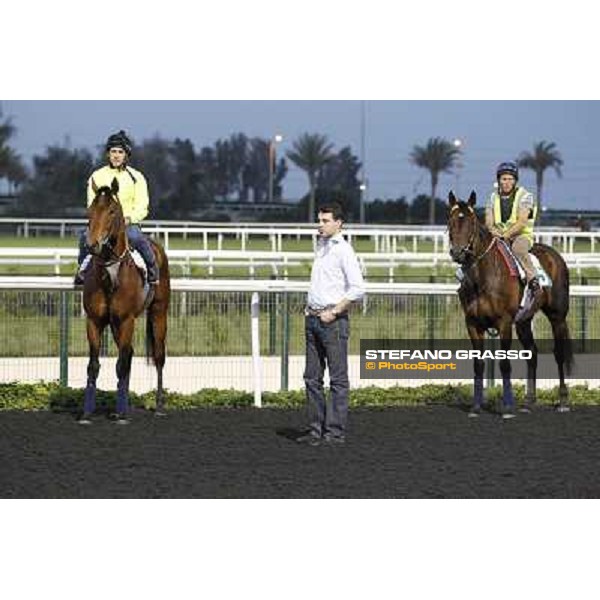 Morning track works - Marco Botti, Planteur and Jakkalberry Dubai, Meydan racecourse - 30th march 2012 ph.Stefano Grasso