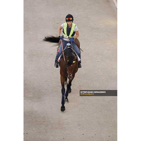 Morning track works - Joshua Tree Dubai, Meydan racecourse - 30th march 2012 ph.Stefano Grasso