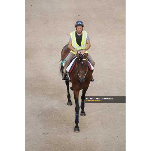 Morning track works - Jakkalberry Dubai, Meydan racecourse - 30th march 2012 ph.Stefano Grasso