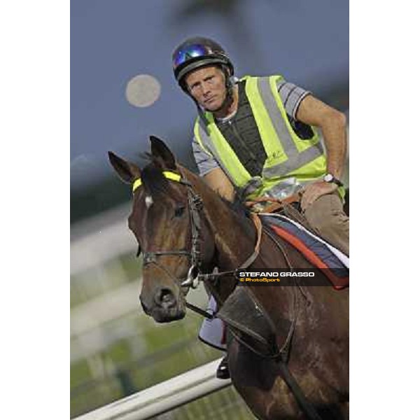 Morning track works - Jakkalberry Dubai, Meydan racecourse - 30th march 2012 ph.Stefano Grasso