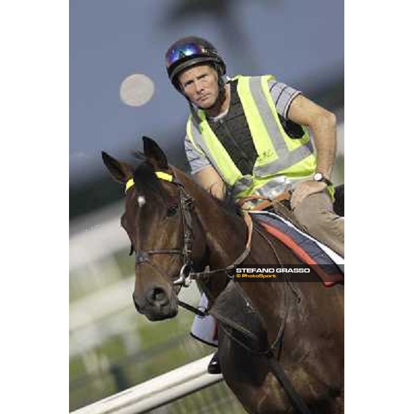 Morning track works - Jakkalberry Dubai, Meydan racecourse - 30th march 2012 ph.Stefano Grasso