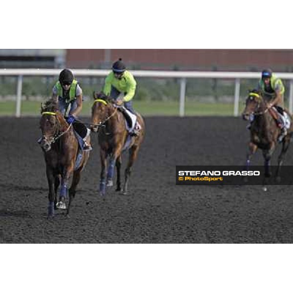 Morning track works - Joshua Tree,Planteur and Jakkalberry Dubai, Meydan racecourse - 30th march 2012 ph.Stefano Grasso