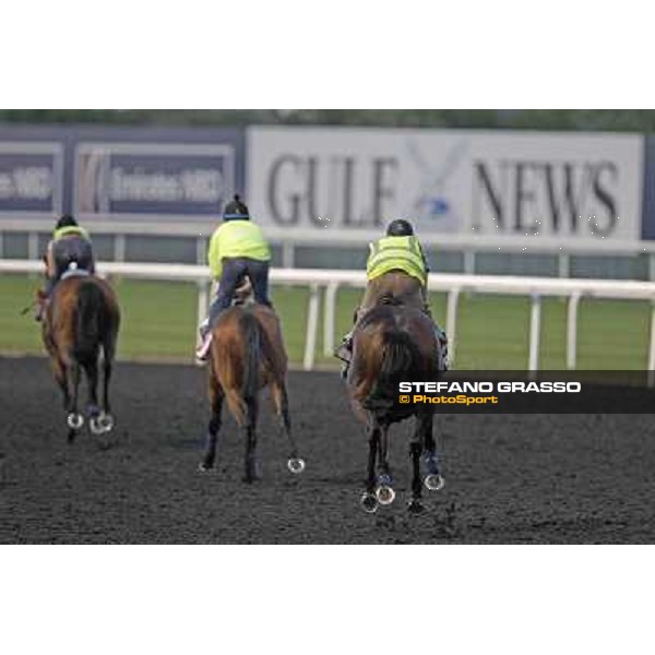 Morning track works - Joshua Tree,Planteur and Jakkalberry Dubai, Meydan racecourse - 30th march 2012 ph.Stefano Grasso