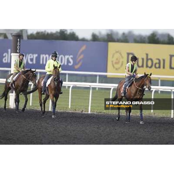 Morning track works - Joshua Tree,Planteur and Jakkalberry Dubai, Meydan racecourse - 30th march 2012 ph.Stefano Grasso