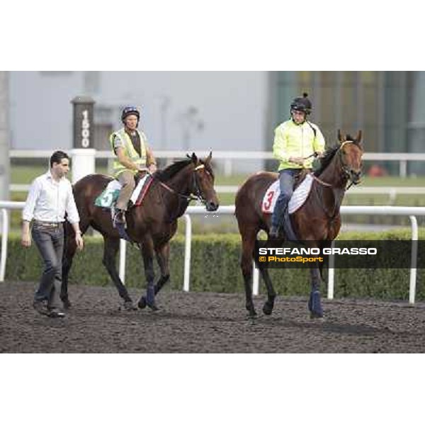 Morning track works - Marco Botti and Planteur and Jakkalberry Dubai, Meydan racecourse - 30th march 2012 ph.Stefano Grasso