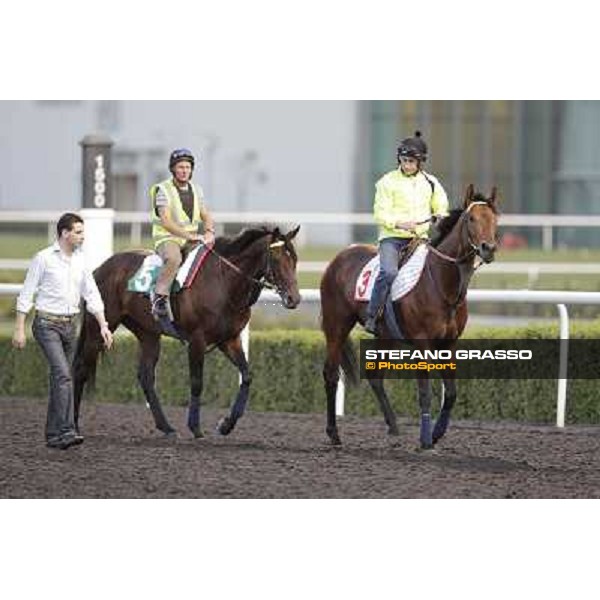 Morning track works - Marco Botti and Planteur and Jakkalberry Dubai, Meydan racecourse - 30th march 2012 ph.Stefano Grasso
