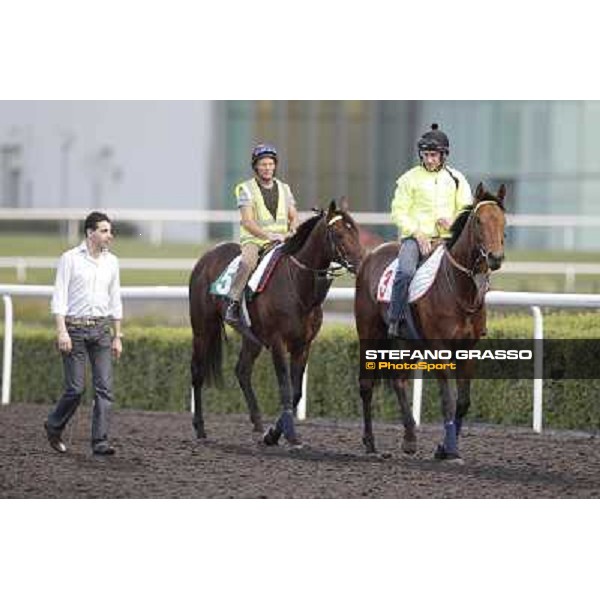 Morning track works - Marco Botti and Planteur and Jakkalberry Dubai, Meydan racecourse - 30th march 2012 ph.Stefano Grasso