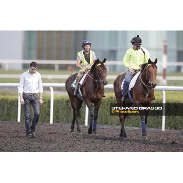 Morning track works - Marco Botti and Planteur and Jakkalberry Dubai, Meydan racecourse - 30th march 2012 ph.Stefano Grasso