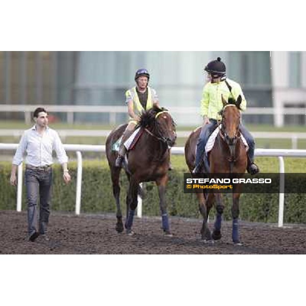 Morning track works - Marco Botti and Planteur and Jakkalberry Dubai, Meydan racecourse - 30th march 2012 ph.Stefano Grasso