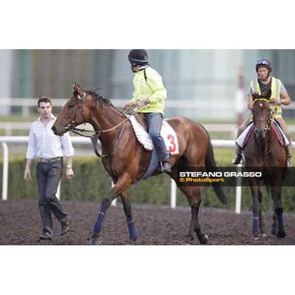 Morning track works - Marco Botti and Planteur and Jakkalberry Dubai, Meydan racecourse - 30th march 2012 ph.Stefano Grasso