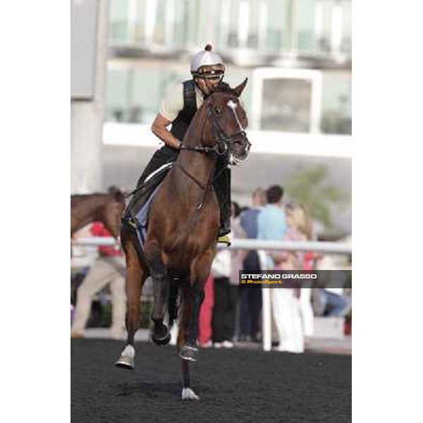 Morning track works - Presvis Dubai, Meydan racecourse - 30th march 2012 ph.Stefano Grasso