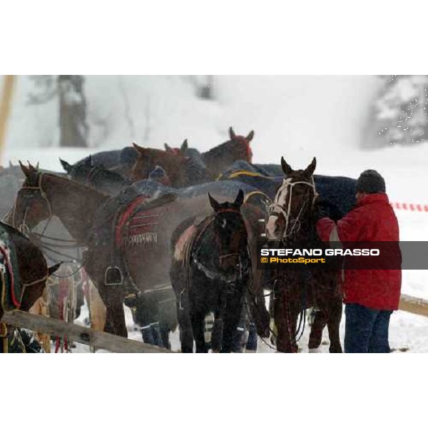 Cortina winter polo Cup 2004 Lake of Misurina febr. 21 2004 ph.Stefano Grasso