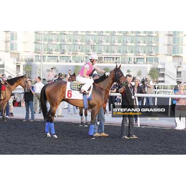 Morning track works - Chantal Sutherland and Game on Dude Dubai, Meydan racecourse - 30th march 2012 ph.Stefano Grasso