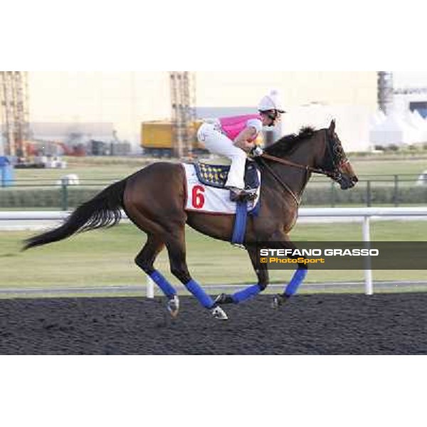 Morning track works - Chantal Sutherland and Game on Dude Dubai, Meydan racecourse - 30th march 2012 ph.Stefano Grasso