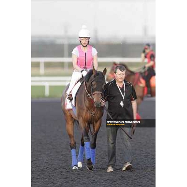 Morning track works - Chantal Sutherland and Game on Dude Dubai, Meydan racecourse - 30th march 2012 ph.Stefano Grasso