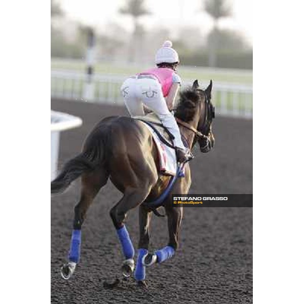 Morning track works - Chantal Sutherland and Game on Dude Dubai, Meydan racecourse - 30th march 2012 ph.Stefano Grasso