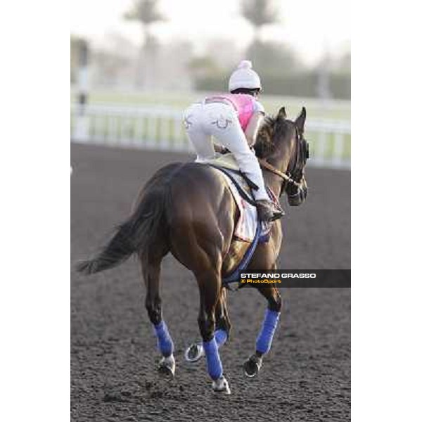 Morning track works - Chantal Sutherland and Game on Dude Dubai, Meydan racecourse - 30th march 2012 ph.Stefano Grasso