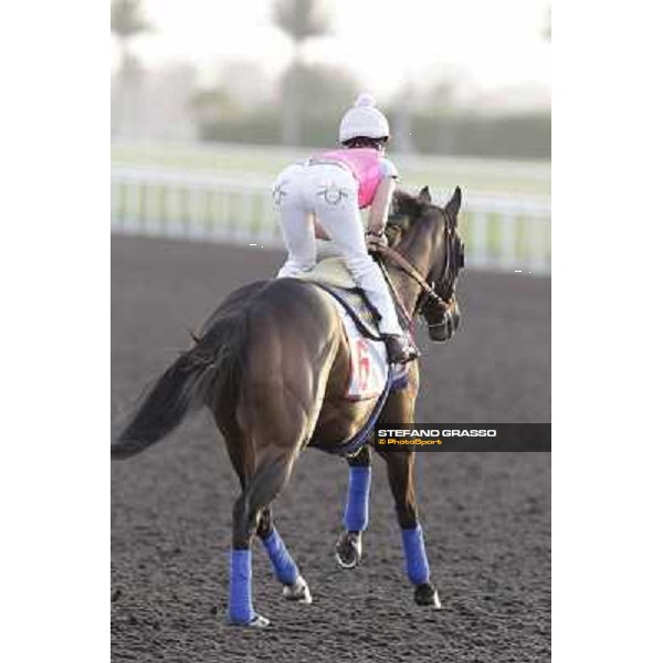 Morning track works - Chantal Sutherland and Game on Dude Dubai, Meydan racecourse - 30th march 2012 ph.Stefano Grasso