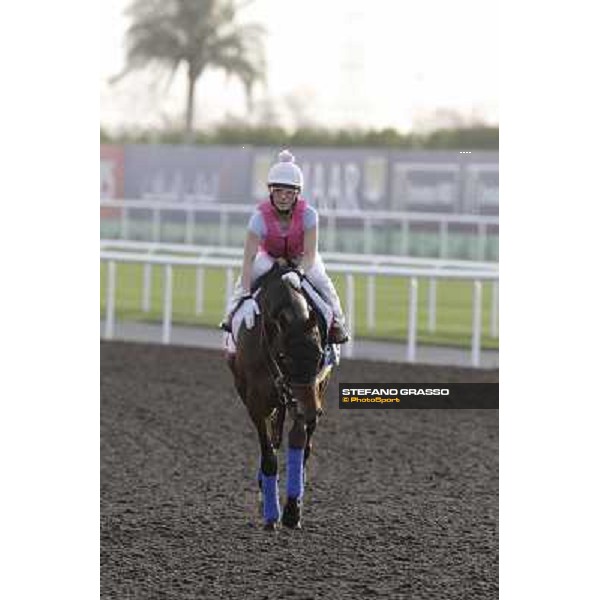 Morning track works - Chantal Sutherland and Game on Dude Dubai, Meydan racecourse - 30th march 2012 ph.Stefano Grasso