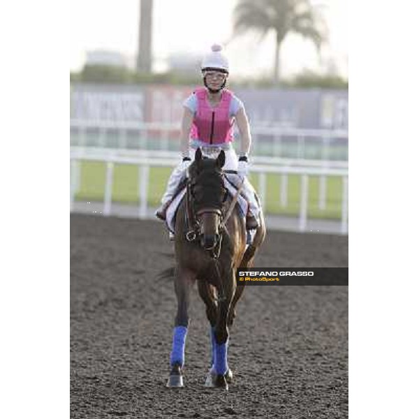 Morning track works - Chantal Sutherland and Game on Dude Dubai, Meydan racecourse - 30th march 2012 ph.Stefano Grasso