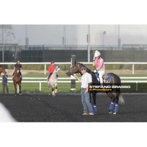 Morning track works - Chantal Sutherland on The Factor Dubai, Meydan racecourse - 30th march 2012 ph.Stefano Grasso