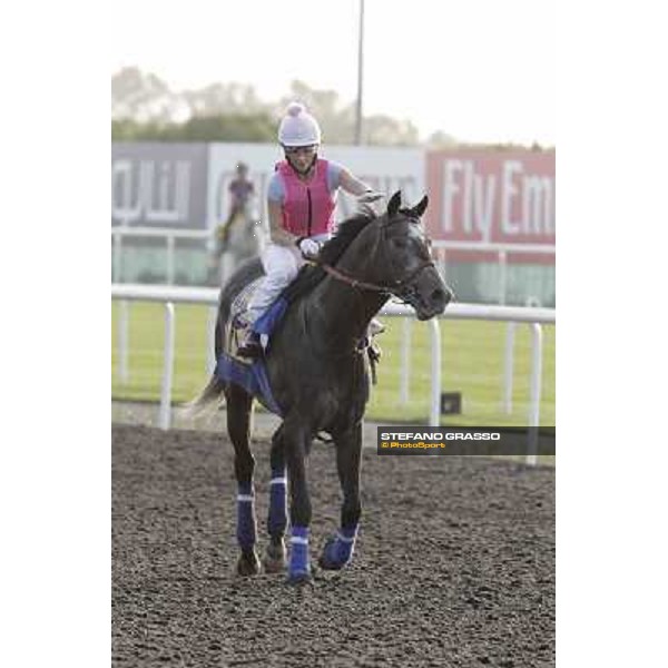 Morning track works - Chantal Sutherland on The Factor Dubai, Meydan racecourse - 30th march 2012 ph.Stefano Grasso