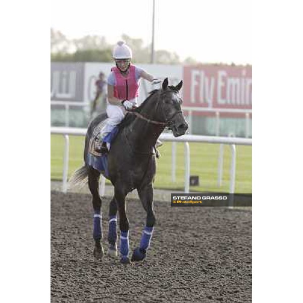 Morning track works - Chantal Sutherland on The Factor Dubai, Meydan racecourse - 30th march 2012 ph.Stefano Grasso