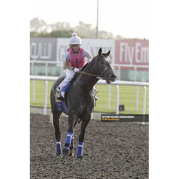 Morning track works - Chantal Sutherland on The Factor Dubai, Meydan racecourse - 30th march 2012 ph.Stefano Grasso