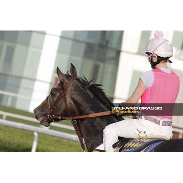 Morning track works - Chantal Sutherland on The Factor Dubai, Meydan racecourse - 30th march 2012 ph.Stefano Grasso