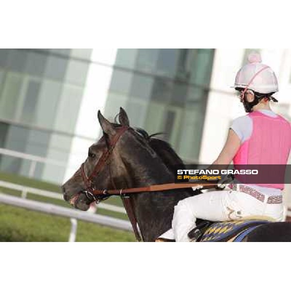 Morning track works - Chantal Sutherland on The Factor Dubai, Meydan racecourse - 30th march 2012 ph.Stefano Grasso