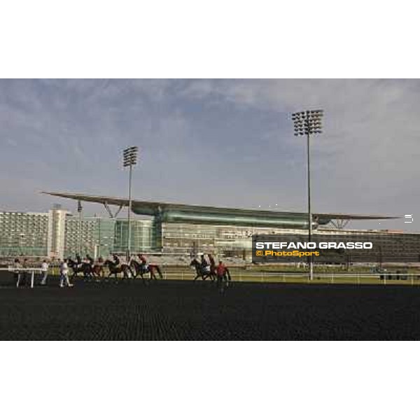 So You Think leads the Aidan O\'Brien\'s team during morning track works Dubai, Meydan racecourse - 30th march 2012 ph.Stefano Grasso