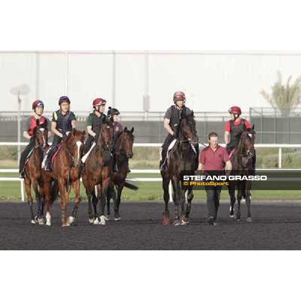 So You Think leads the Aidan O\'Brien\'s team during morning track works Dubai, Meydan racecourse - 30th march 2012 ph.Stefano Grasso