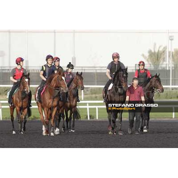 Morning track works - So You Think and Aidan O\'Brien team Dubai, Meydan racecourse - 30th march 2012 ph.Stefano Grasso