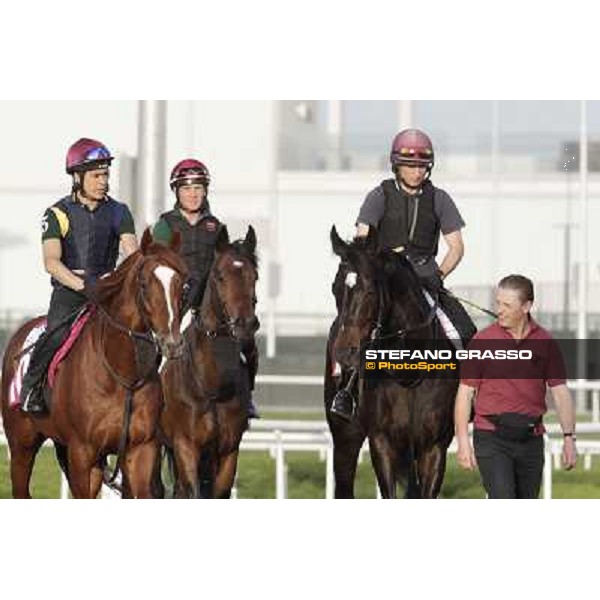 Morning track works - So You Think and Aidan O\'Brien team Dubai, Meydan racecourse - 30th march 2012 ph.Stefano Grasso