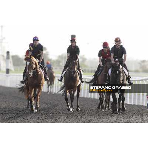 Morning track works - So You Think and Aidan O\'Brien team Dubai, Meydan racecourse - 30th march 2012 ph.Stefano Grasso