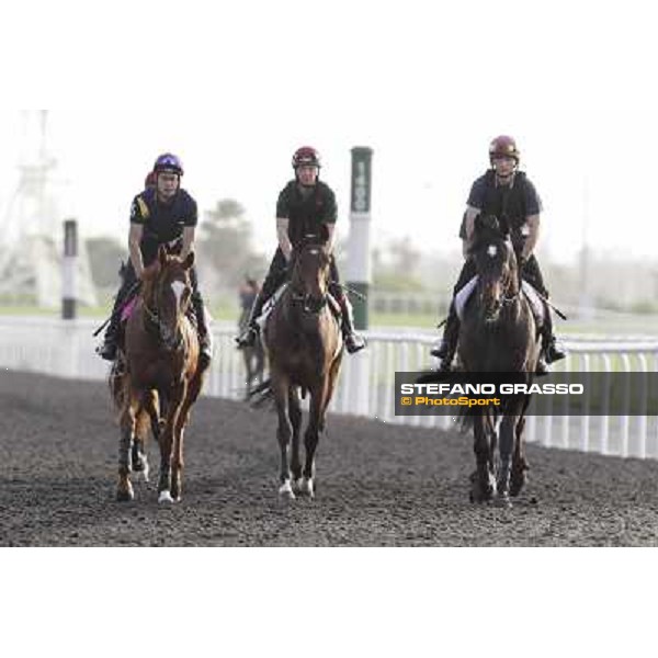 Morning track works - So You Think and Aidan O\'Brien team Dubai, Meydan racecourse - 30th march 2012 ph.Stefano Grasso