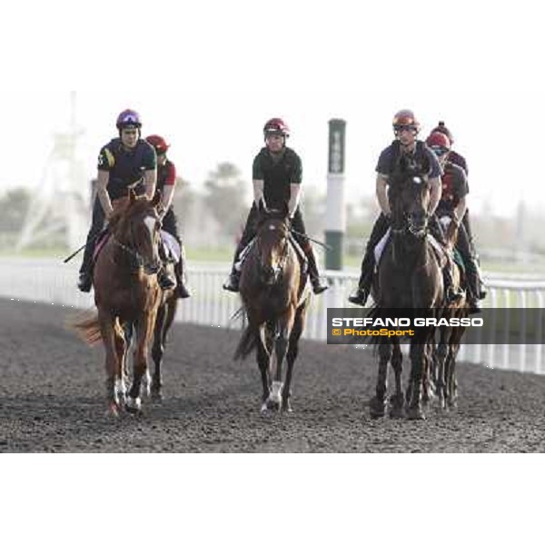 Morning track works - So You Think and Aidan O\'Brien team Dubai, Meydan racecourse - 30th march 2012 ph.Stefano Grasso