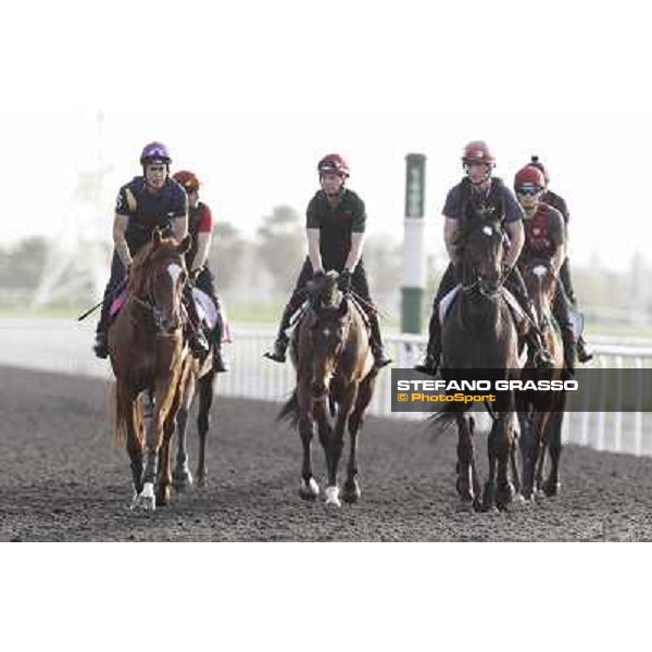 Morning track works - So You Think and Aidan O\'Brien team Dubai, Meydan racecourse - 30th march 2012 ph.Stefano Grasso