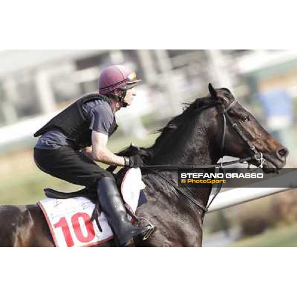 Morning track works - So You Think Dubai, Meydan racecourse - 30th march 2012 ph.Stefano Grasso