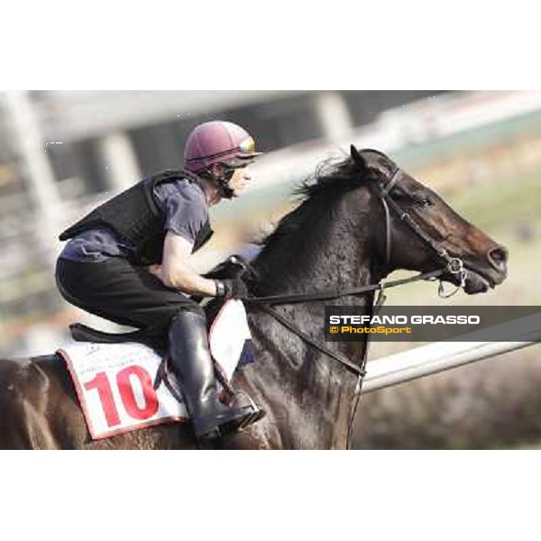 Morning track works - So You Think Dubai, Meydan racecourse - 30th march 2012 ph.Stefano Grasso