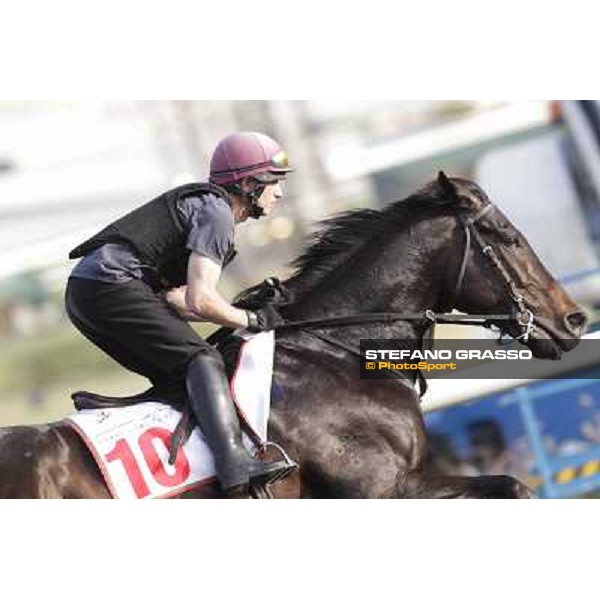 Morning track works - So You Think Dubai, Meydan racecourse - 30th march 2012 ph.Stefano Grasso