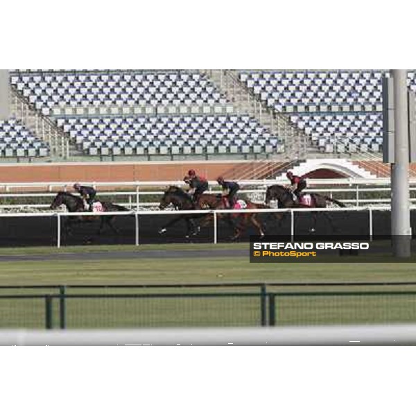 Morning track works - So You Think and Aidan O\'Brien team Dubai, Meydan racecourse - 30th march 2012 ph.Stefano Grasso